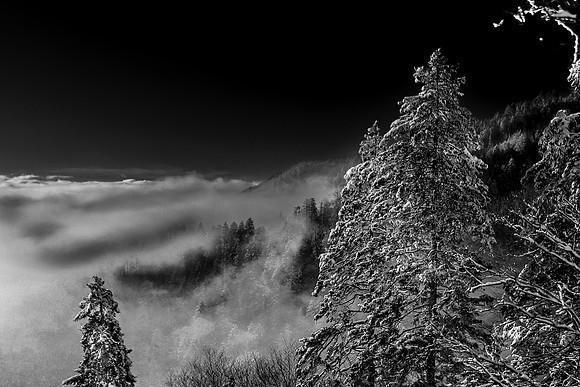 IMG_7948