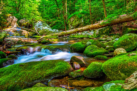 IMG_7302-Roaring_Fork