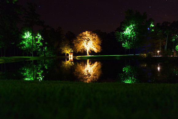 IMG_3028_LR