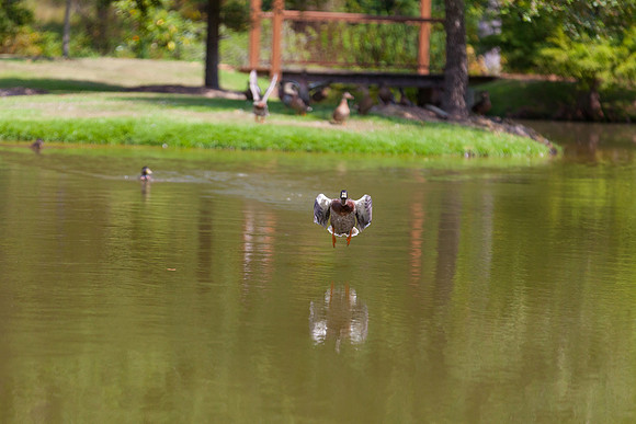 IMG_3048_LR