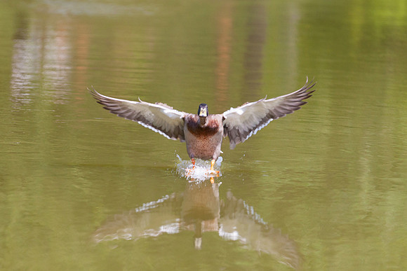 IMG_3051_LR