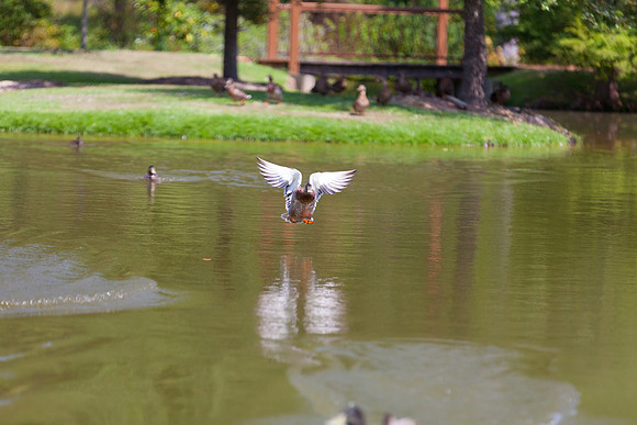 IMG_3053_LR