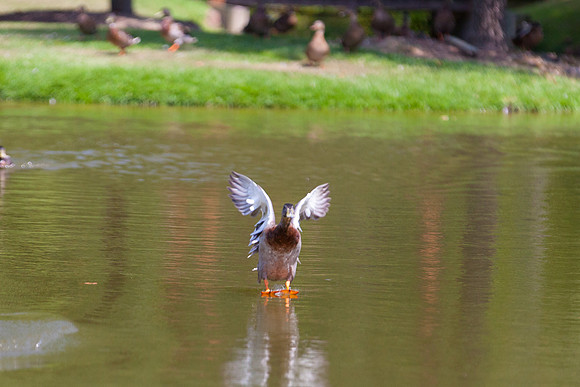 IMG_3054_LR