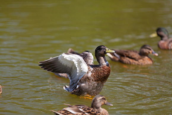 IMG_3108_LR