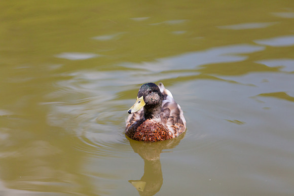IMG_3114_LR