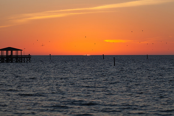 IMG_8192_LR