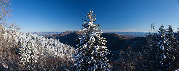 IMG_7886-Pano_LR