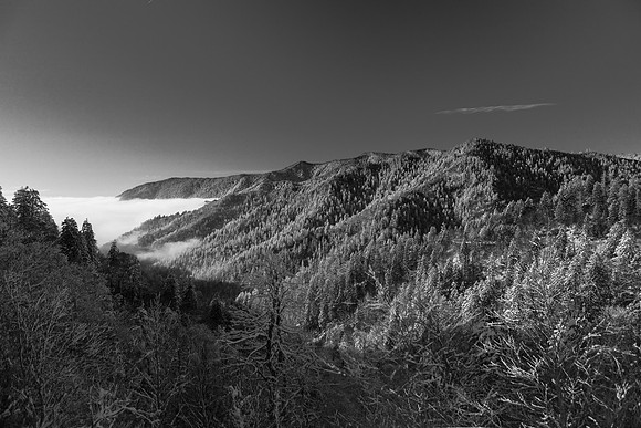 IMG_7902_LR