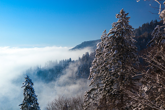 IMG_7947_LR
