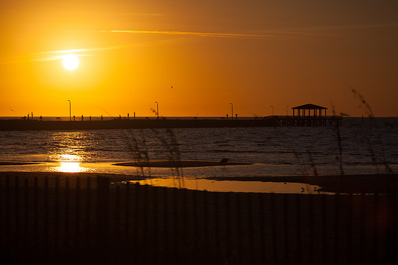 IMG_8237_LR