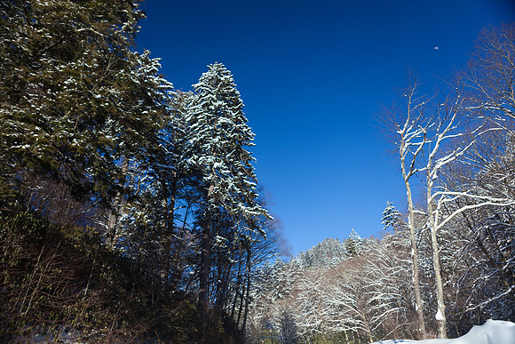 IMG_7874_LR