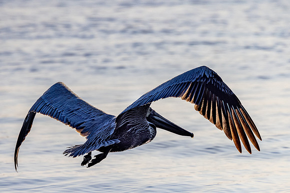 LR_IMG-0656