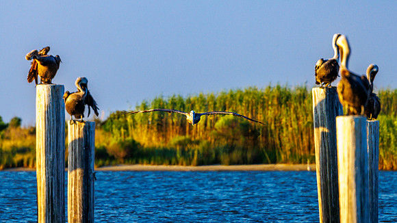LR_IMG-2250